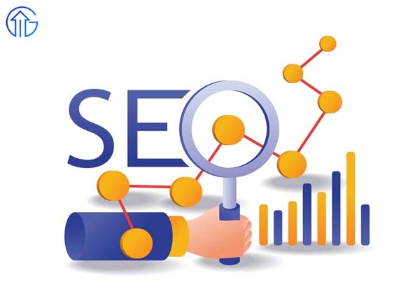 SEO Company in Malviya, Jaipur